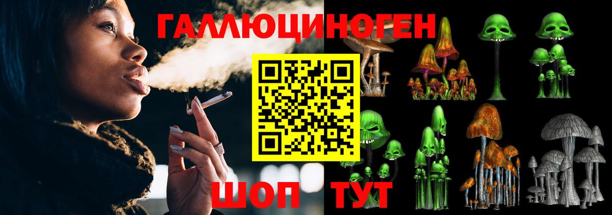 Псилоцибиновые грибы Psilocybe Лянтор